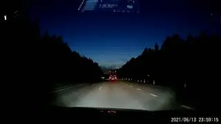 Сбили лося