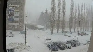 Снегопад 22 февр 2019 г.