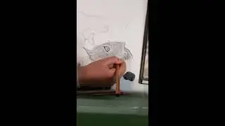 Graphite Drawing - How to Draw a Tiger Part 3