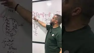 التركيب الضوئي المرحلة الكيموضوئية بكالوريا