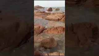 Sardegna, 2024