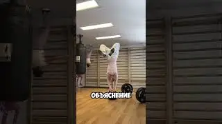 Optical illusion: she's running along the ceiling! 😵 