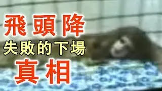 【都市傳說真相】飛頭降被抓獲的證據｜PowPow