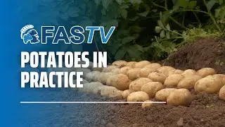 FAS TV Series 4 Ep 10 - Potatoes in Practice