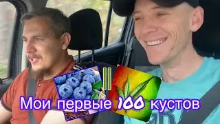 Едем за Голубикой 🫐(подкаст).