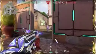 MY WHOLE TEAM DIED (ACE)