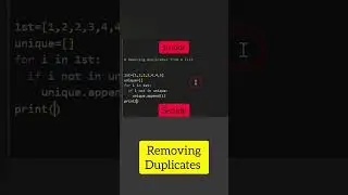 Junior Vs. Senior Python Developer 