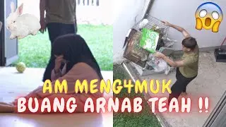 AM MENG4MUK BUANG ARNAB TEAH !! - TEAH SEDIH