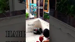 KACAU OH MY GOOD😱😱🫢😁