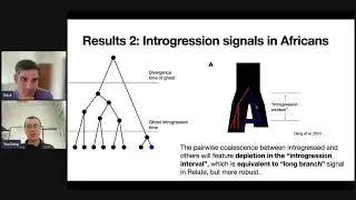Phyloseminar #140: Yun Deng (UC Berkeley)