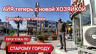 🇹🇷 НОВОЕ ИМЯ и ХОЗЯЙКА для мопса АЙИ #анталия #влоганталия #турция