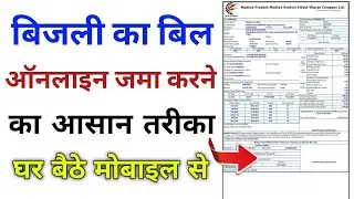 Bijli Ka Bil Jama Karna Sikhe || बिजली का बिल जमा करना सीखे😱