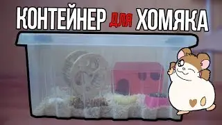 ОБУСТРАИВАЕМ КОНТЕЙНЕР ДЛЯ ХОМЯКА