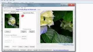 How to overlay an image using Image overlay software
