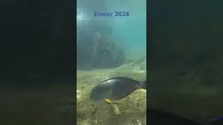 Египет 2024