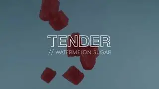 TENDER  - Watermelon Sugar