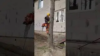 Снаряжение арбориста. Часть 2