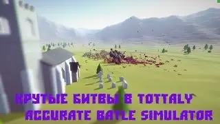 Крутые сражения в TotallyAccurateBattleSimulator!