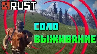 Бич соло стрим в Rust!