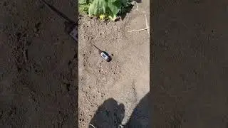 Оце жара😅