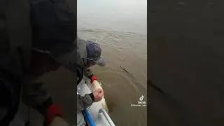балик ови прикол улкан балик сув остидан лакка 125кг