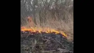 На Волині на території заказника горить трава
