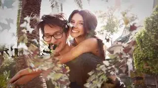 VideoHive - Butterflies Transitions - 12016750