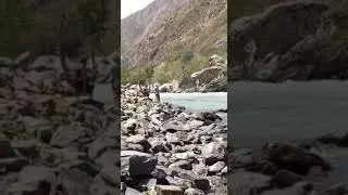 Сари пули ду О-ва 👍😃