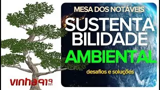 O CAMINHO PARA SUSTETABILIDADE AMBIENTAL - Mesa dos Notáveis - 19/11