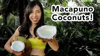 Coconut Craze: My Exciting Quest for Bizarre Finds in Vietnam!🌴