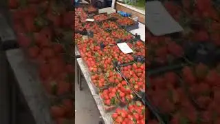 Рынок Анапа