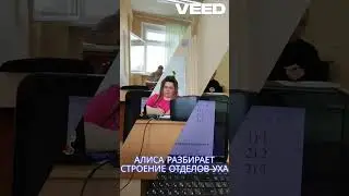 Анатомия в центре "Шаг к успеху"