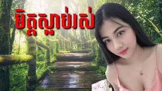 មិត្តស្លាប់រស់