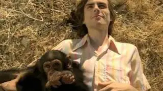 Island In The Sun by Weezer | Interscope