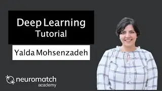 Deep Learning Tutorial 3 Video 1