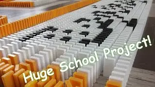 New Personal Record (10,000 dominoes) | Domino School Project