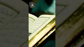 MUAZ İBN CƏBƏLİN ÖLÜM YATAĞINDA SON SÖZLƏRİ (hissə-1)