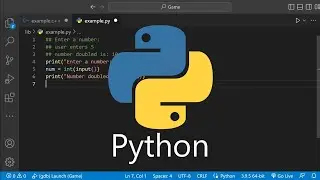 Double User Input in Python / How to Tutorial