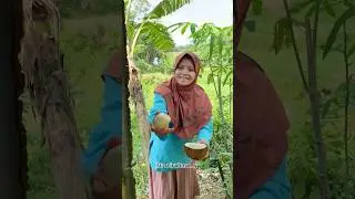 The Habit of Eating Coconut Shells as a Child