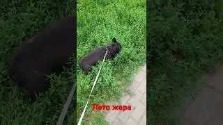 28 июля 2024 г.