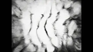 00149283
