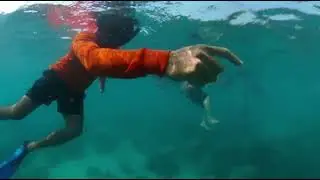 Skin diving  at Samaesarn Island. (2K)