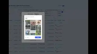 Giải ZCaptcha, Coinmarketcap và 1 số dạng tương tự với Automatic Mouse and Keyboard