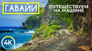 Путешествие на машине по Гавайям. Красивая природа райского острова - Документальный релакс-фильм 4К