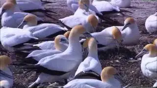 Утренний позитивчег