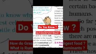 How do grass eating animals digest food | What is Rumination, Rumen & Ruminants. #Onlinescience_Q&A