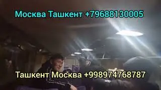 Питер Ташкент автобус Москва Ташкент автобус +79258032937