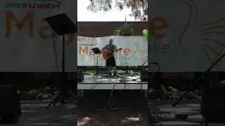 Mr Tambourine Man   Mayfaire 2017