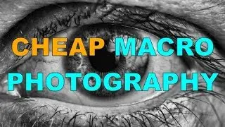 cheap macro photography [macro tubes, reverse adapter, vintage macro lens]