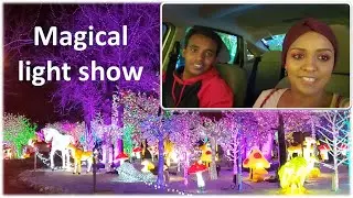 New Year wishes and activity | cavalia illumi